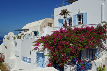 The landscape with beautiful buildings houses in santorini island in Oia, Greece, Europe