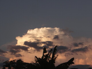 Cielo