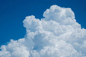 Naklejka na ściany i meble bright sky and white cloud in sunny day