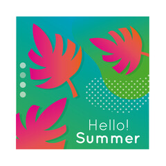 hello summer colorful banner with leaf plant