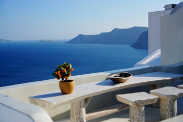 Obraz premium beautiful landscape of the sea with some flowers in santorini island in Greece, Europe