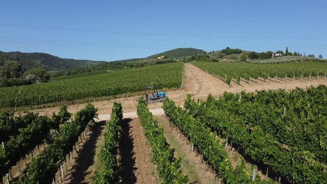 Approaching flyng over Tractor On The Narrow Rows Of Green Vineyards In Tuscany Hills, Italy.  - Aerial panning drone. Sieci Pontassieve