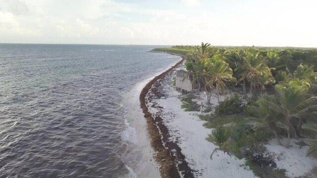 DJI drone rapid fly over footage over Punta Allen Beach coastline
