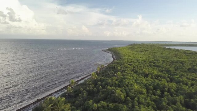 DJI drone rapid fly over footage over top of trees at Punta Allen Beach coastline.