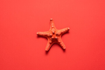 Fototapeta na wymiar Red starfish on the red flat lay background. Summer vacation abstract background.