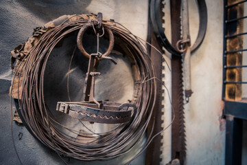 Rusty old bear trap hanging on wall in hunter´s shed with wire coil and bone saws