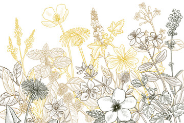 Obrazy  wektor rysunek kwiatowy vintage szablon