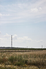 high voltage power lines