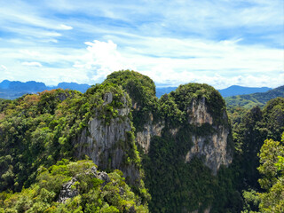 Trees and mountains, the background is sky