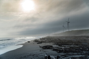A wind power generation facility can be seen on the further sideof a large amount of driftwood...