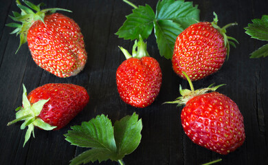 five red juicy strawberries on a black wooden background