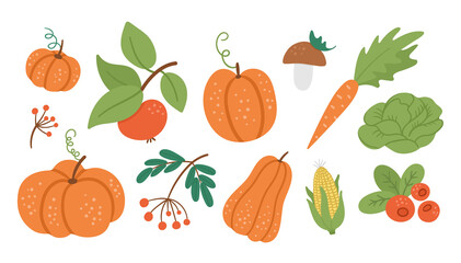 Vector set of cute autumn vegetables, fruit and berry. Flat style collection with pumpkins, carrot, apple, cabbage, corn, cranberry, mushroom. Funny fall harvest illustration isolated on white