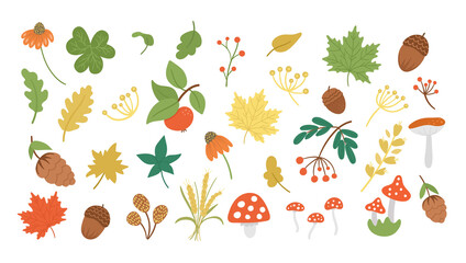 Vector set of cute autumn herbs, plants, flowers, berries. Flat style collection with leaves, apple, acorns, cones. Funny fall greenery illustration isolated on white background. © Lexi Claus