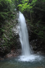 Fototapeta na wymiar Hossawa Falls in Hinohara village ,japan,tokyo