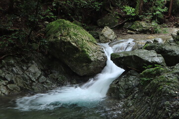 nature in Hinohara village  ,japan,tokyo