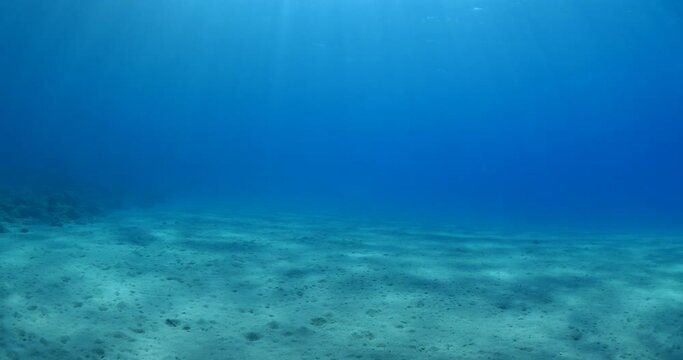 sun shine beams and rays on sea floor underwater slow motion fish around