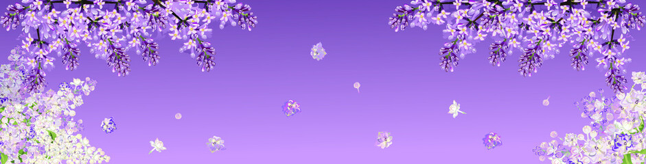Fototapeta na wymiar long frame from lilac flowers on violet background