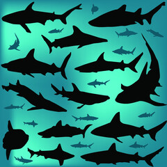 group of black sharks on blue