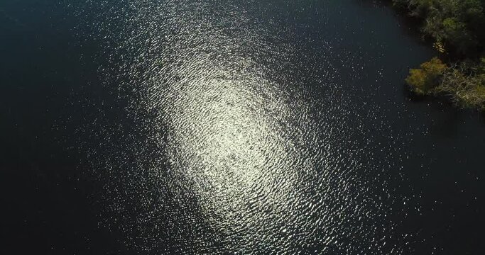 Revealing tribal indigenous houses in the Amazon Jungle, seen from river
