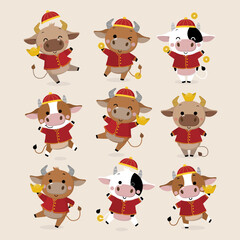 Happy Chinese new year greeting card. 2021 Ox zodiac. Cute cow in red costume and gold money. Animal holidays cartoon character