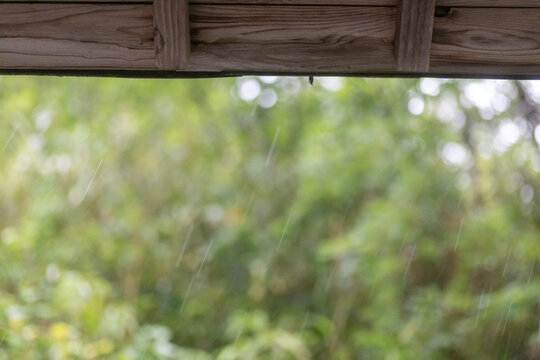 863 件の最適な 雨宿り 画像、ストック写真、ベクター | Adobe Stock