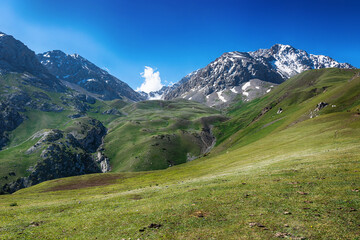 Idyllic summer landscape with hiking trail in the mountains with beautiful fresh green mountain pastures.