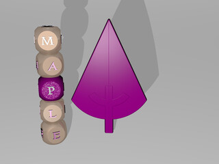 3D illustration of maple graphics and text around the icon made by metallic dice letters for the related meanings of the concept and presentations. autumn and background