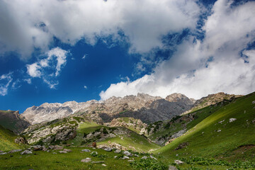 Idyllic summer landscape with hiking trail in the mountains with beautiful fresh green mountain...