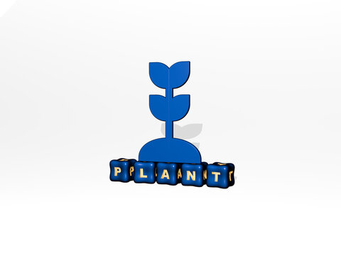 3D representation of PLANT with icon on the wall and text arranged by metallic cubic letters on a mirror floor for concept meaning and slideshow presentation. background and green