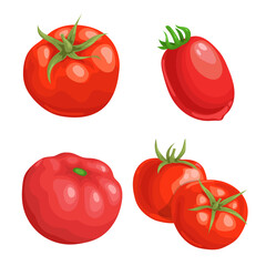 Cartoon different types tomatoes set. Red ripe vegetables isolated on white background. Vector illustrations.