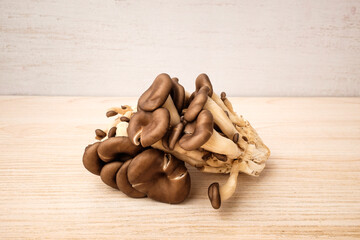 Pleurotus mushrooms on white background