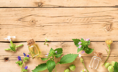 Various plants, leaves of healing herbs and healthy oils on wooden background top view. Alternative...