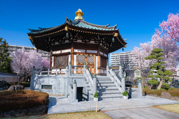 Obraz premium 蕨市 三学院 舎利殿