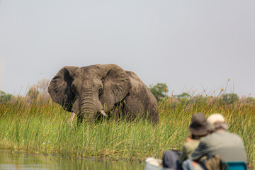 Exiting the Okavango Delta in Botswana  by mokoro 