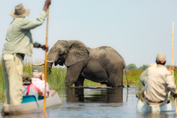 Exiting the Okavango Delta in Botswana  by mokoro 