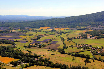 Fototapeta na wymiar paysage de Provence