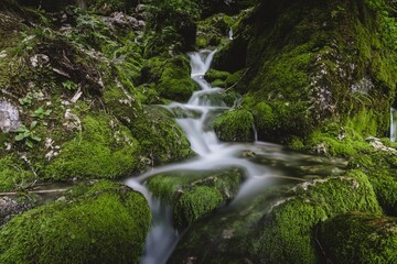 Water flowing down the moss covered rocks at the spring of Kamniska Bistrica river in Slovenia