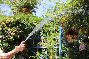 Mann bewässert seinen Garten
