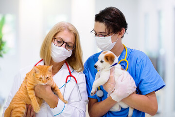 Vet with dog and cat. Puppy and kitten at doctor.