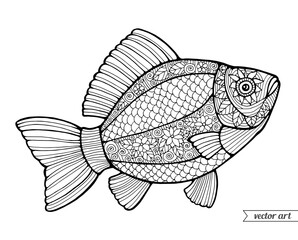 Fish isolated, ornamental floral line pattern. Vector. Zentangle. Coloring book page for adult. Hand drawn artwork. Bohemian concept for restaurant menu card, branding, logo label. Black and white
