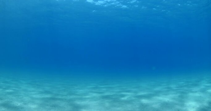 sun shine beams and rays on sea floor underwater slow motion fish around