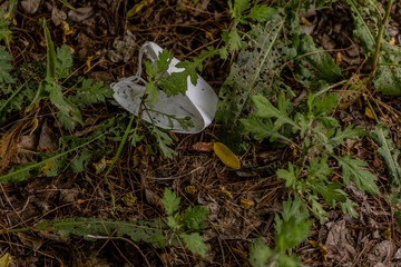 Discarded medical mask on ground among weeds.