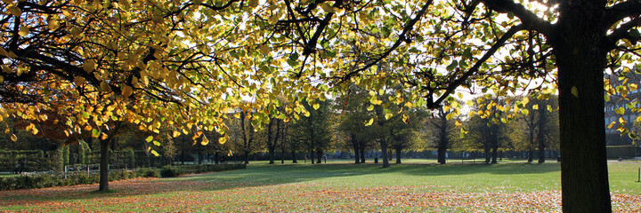 Denmark Copenhagen park trees sunlight