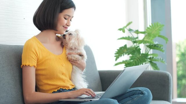 Smiling Asian woman working at home sitting using laptop with Cute White Maltese dog having fun enjoying in living room at home. Stay home.
