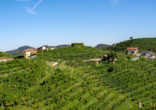 Picturesque hills with vineyards of the Prosecco sparkling wine region in Valdobbiadene, Italy.