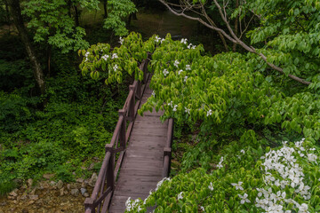 Fototapeta na wymiar Looking down on small wooden footbridge
