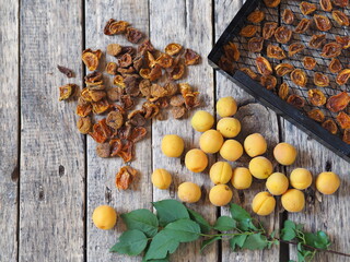 Procurement of dried apricots for future use.Dried apricots in a rack from the dryer with fresh...