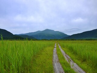 尾瀬ヶ原　至仏山7