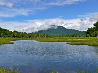 尾瀬ヶ原　池塘9