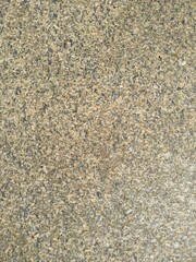 texture of grey asphalt sunlight. parts of the road